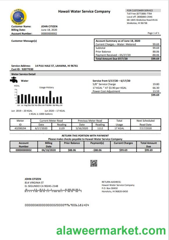 USA Hawaii Water Service Company utility bill template in Word and PDF (.doc and .pdf) format